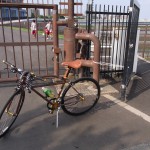 自転車乗った。