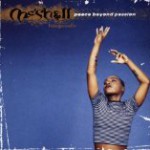 躍動女性ベーシストの静かなる傑作！ Meshell Ndegeocello / Bitter が素敵すぎる。