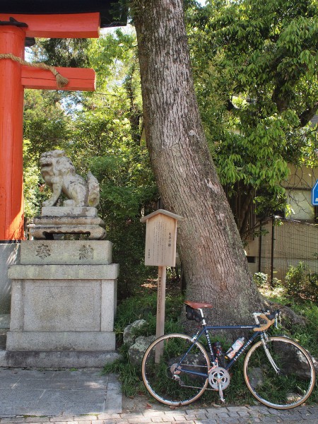 由緒ある大木と