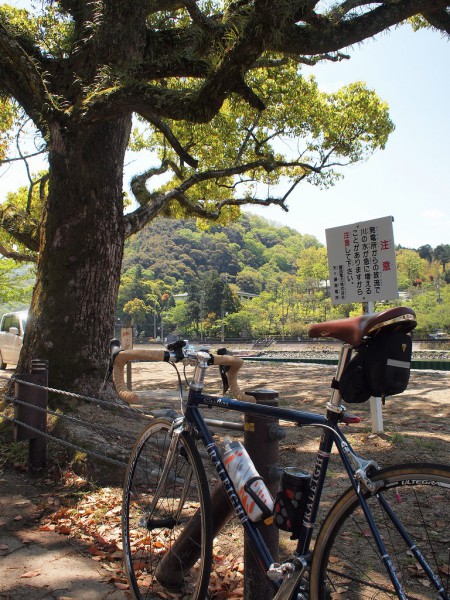 宇治川沿いにて