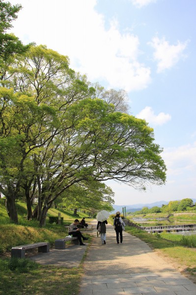 賀茂川河川敷