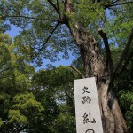 京都、下鴨神社などをお散歩した。