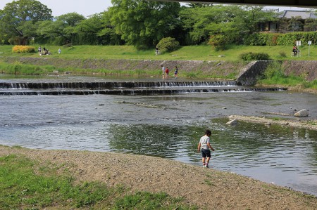 賀茂川で遊ぶ子供