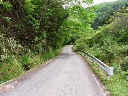 羽束川沿いを走る