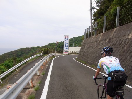 立川水仙郷