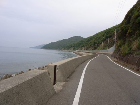 南淡路水仙ライン