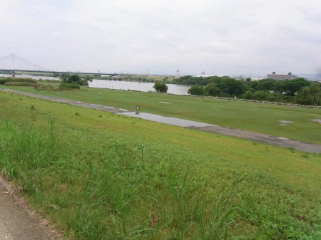 水溜りだらけの淀川