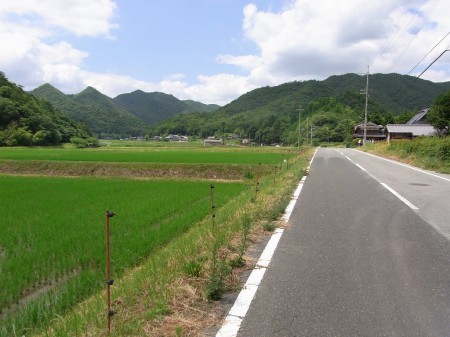 上青野