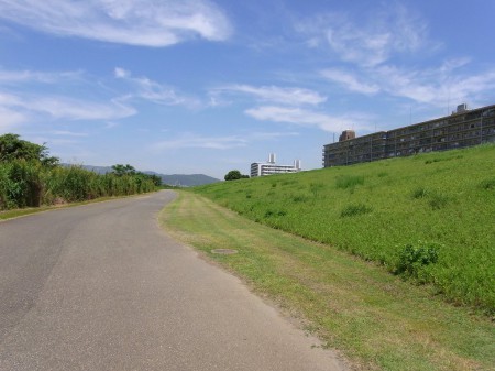 空が高かった