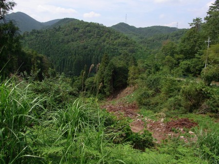 恐るべし601号の峠道