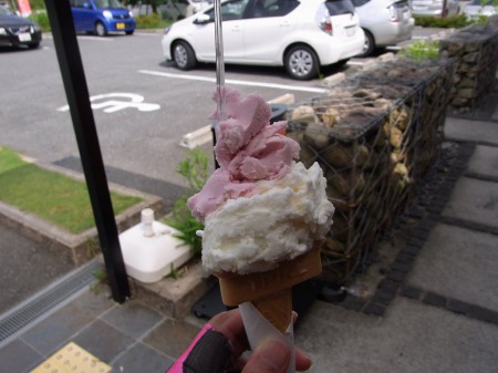 道の駅いながわジェラート