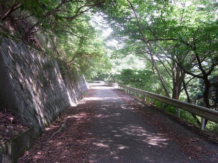 くだりは恐怖の林道