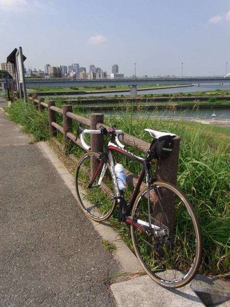 久しぶりの毛馬