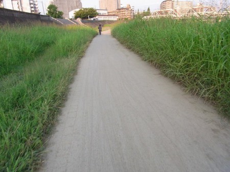 神崎川CRは砂地化