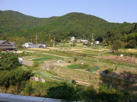 里山の景観絶景なり