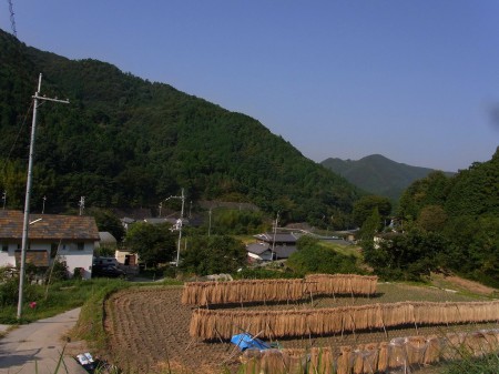 秋の景色