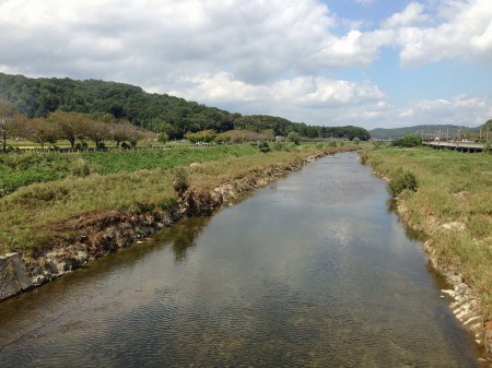 道場の武庫川