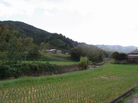 曾地奥の里山