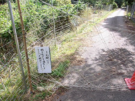 曾地奥林道の網