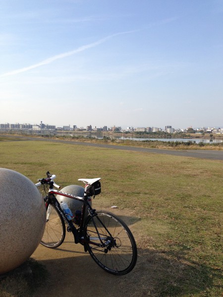 秋の城北公園