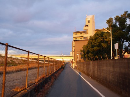 淀川沿いの一般道を