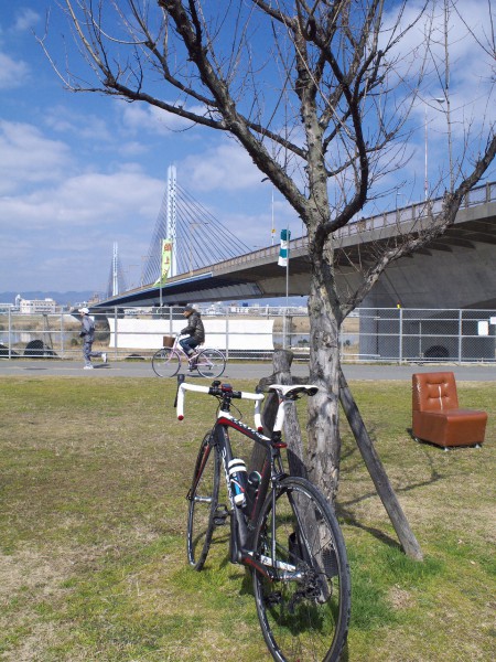 城北公園から淀川CRへ