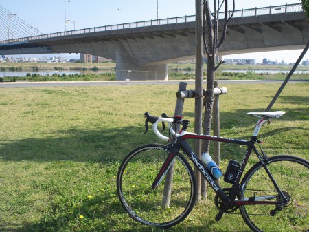 朝の淀川