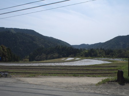 宕陰の棚田