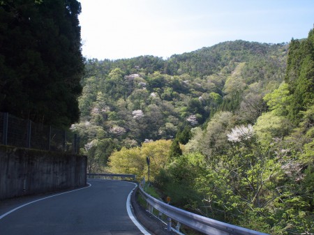 川沿いをゆく