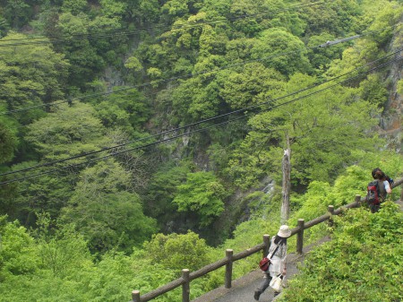 一応、箕面の滝！