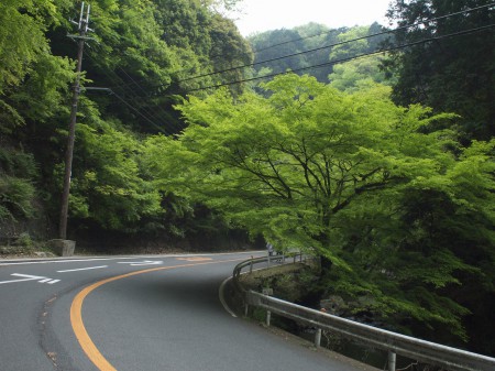 少し勾配も急に