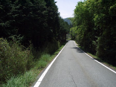 三田市街方面へは下り基調