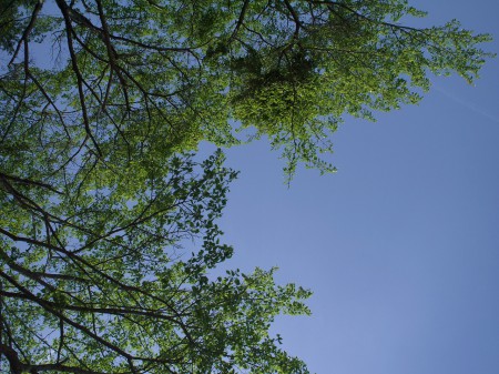 天気は最高