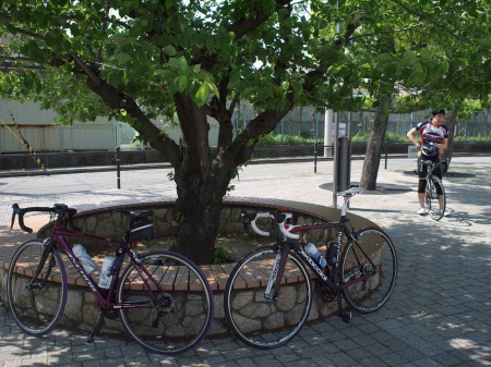 末広公園で最後の休憩