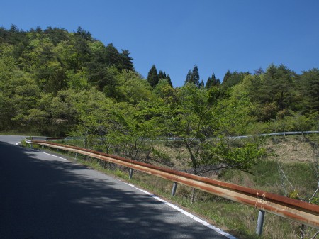 母子から篠山へは少しだけ上る