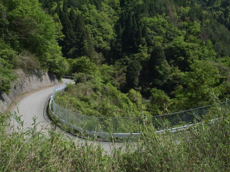 かなりの峠道