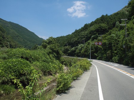 徐々に山の雰囲気が