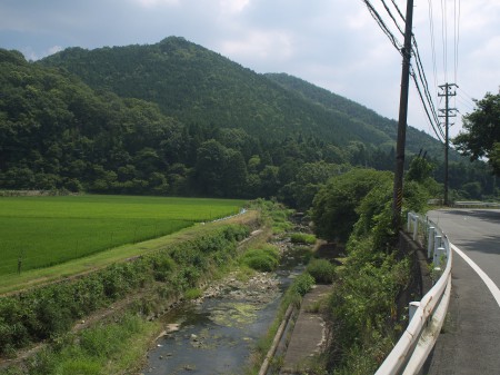 川沿いを走る