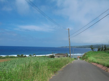 海へと続く道