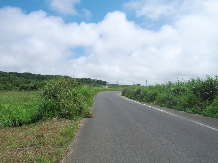 犬田布からR83復帰を目指す