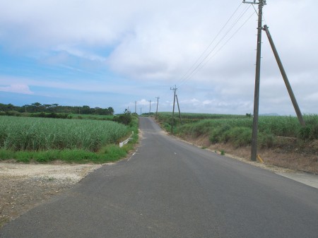 道に迷う