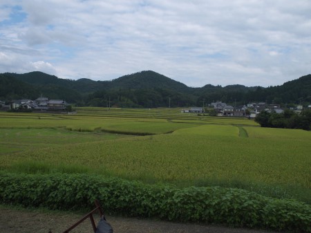 ええ感じの風景