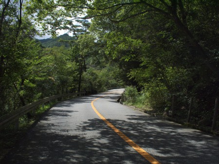 意外と涼しい道のり