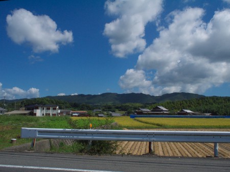 内陸部に入るとこんな景色が広がる