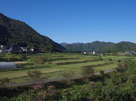 美山の里山