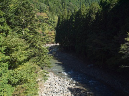 桂川を望む