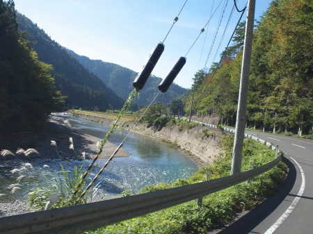 由良川とともに走る