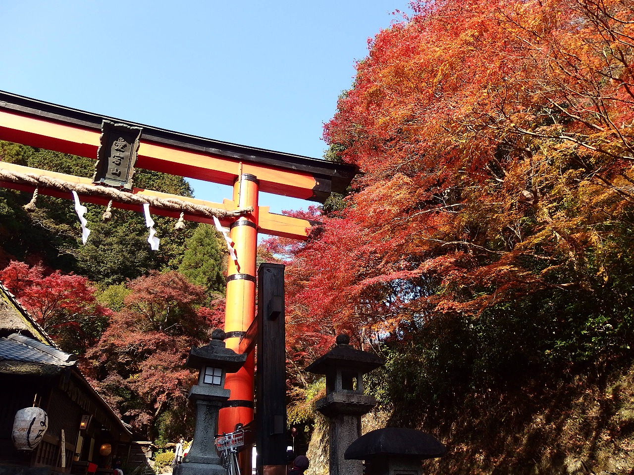 嵯峨野の紅葉