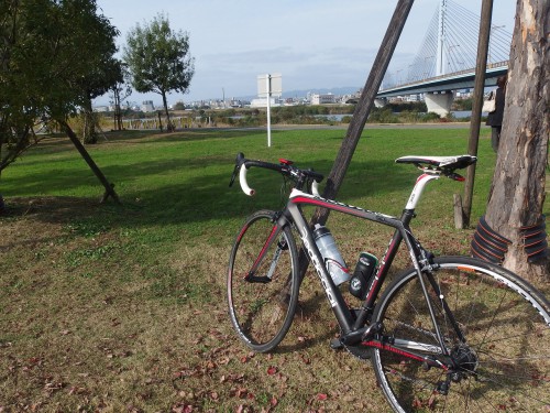 いつもの城北公園