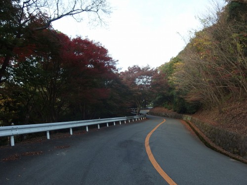 上り坂も秋の風景